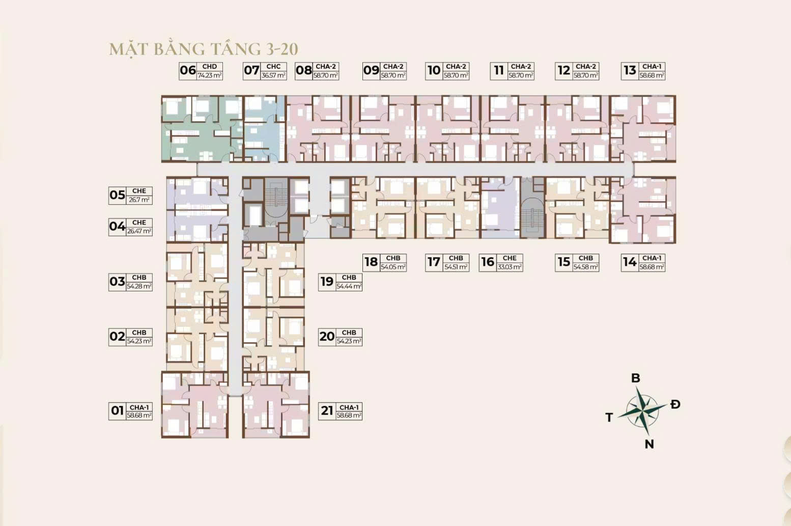 Mặt bằng dự án Evergreen Premium